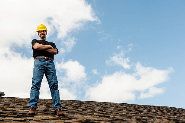 Best Gutter Installation and Roofing  in Dover, AR