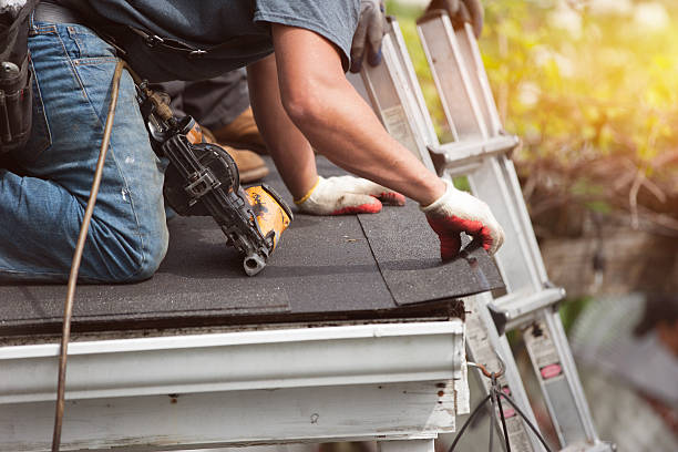 Best Roof Gutter Cleaning  in Dover, AR